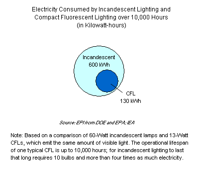 Electricity Consumed by Incandescent Lighting and Compact Fluorescent Lighting over 10,000 Hours (in Kilowatt-hours)