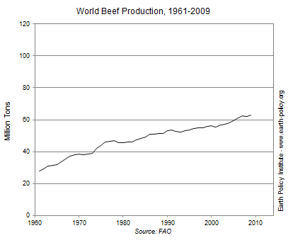 Graph on World Beef Production, 1961-2009