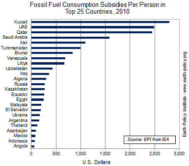 Graph on Fossil Fuel Consumption Subsidies Per Person in Top 25 Countries, 2010