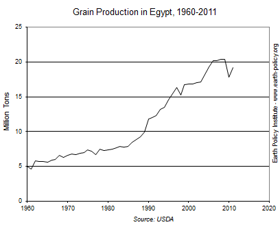 Grain Production in Egypt, 1960-2011
