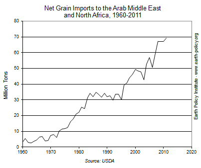 Net Grain Imports to the Arab Middle East and North Africa, 1960-2011