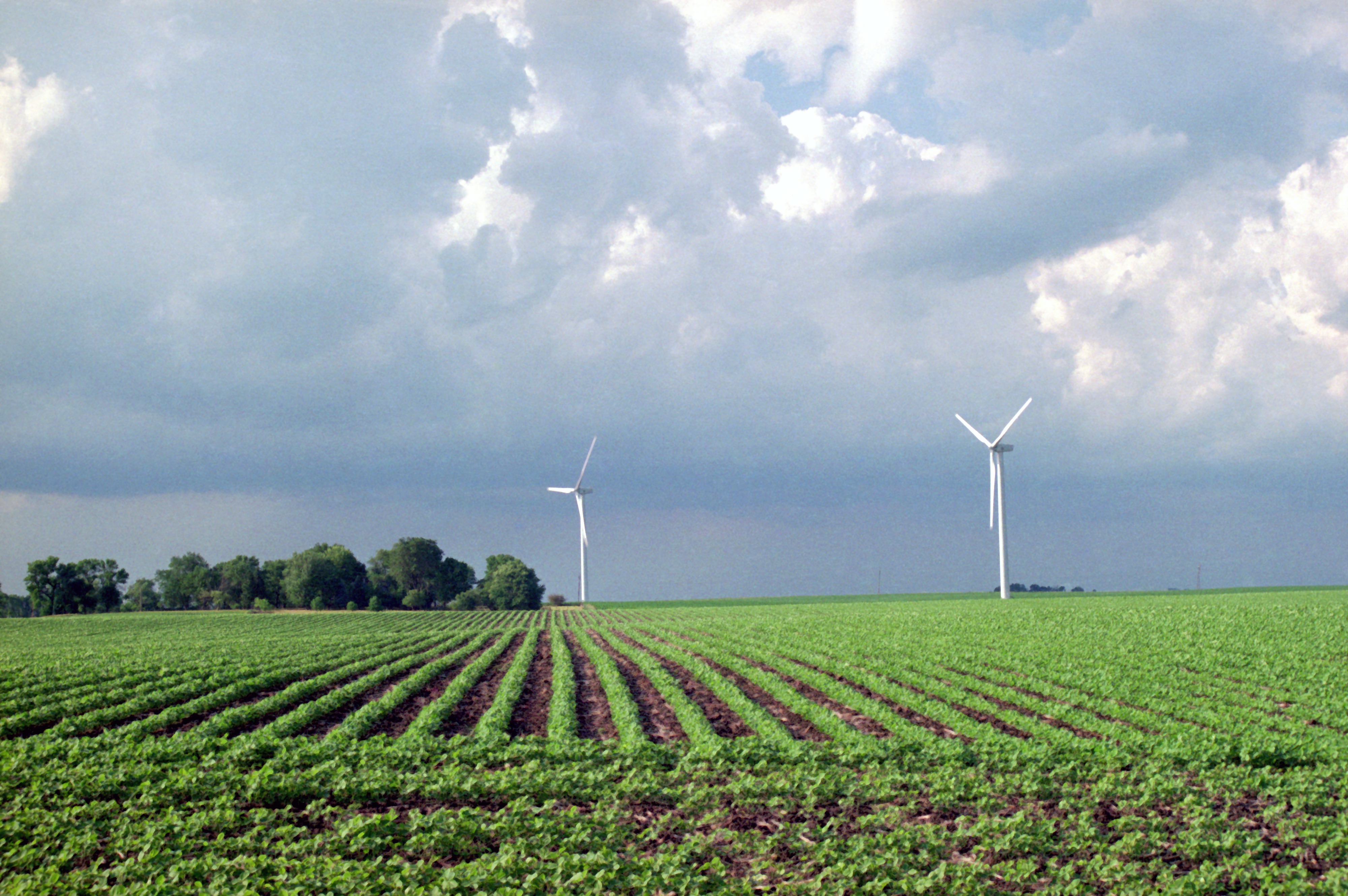 Midamerican Iowa wind farm (Todd Spink, NREL, 2006)